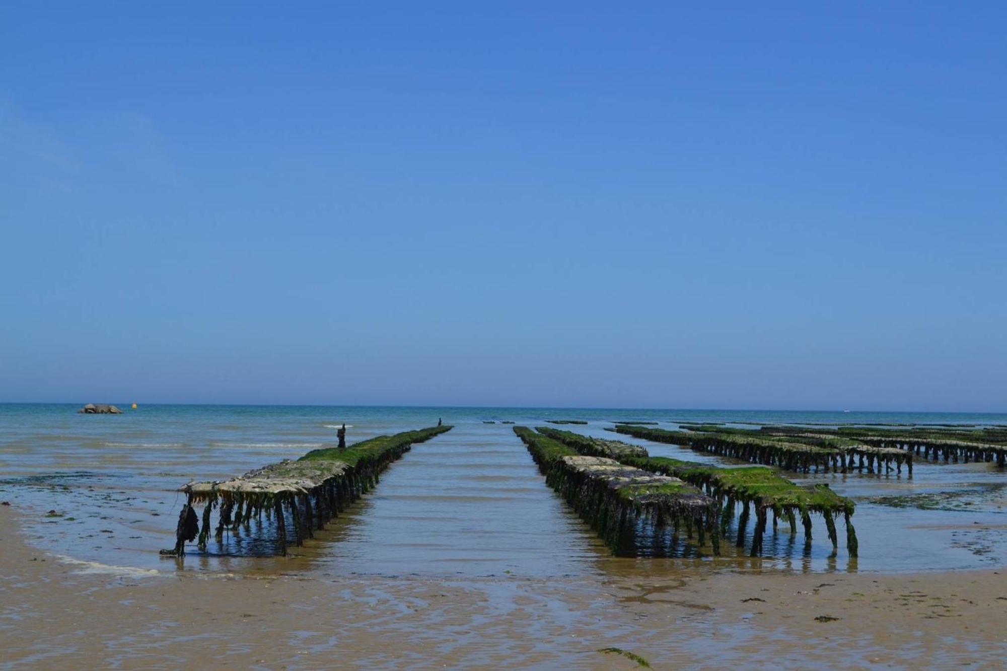 Le So Art, Grande Maison 4 Chambres, Terrain De Petanque, Grand Jardin Clos, Flipper, Babyfoot, Jeux Arcade, Ping Pong,1 Km Mer, Proche Golf, Port En Bessin, Bayeux Et Plages Du Debarquement, Adaptee Enfants Commes Экстерьер фото